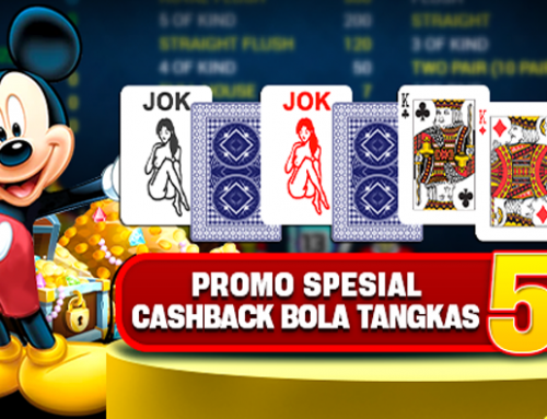 CASHBACK BOLA TANGKAS –  AGUSTUS