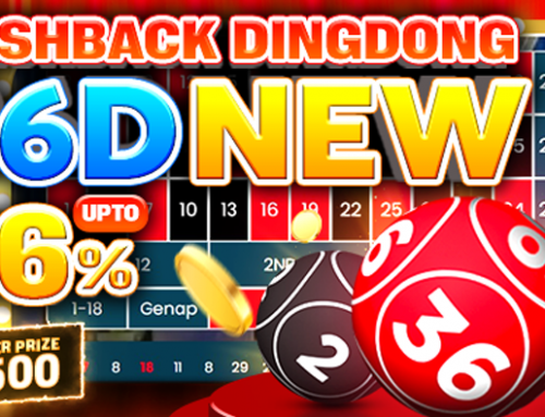 Cashback Dingdong 36D NEW