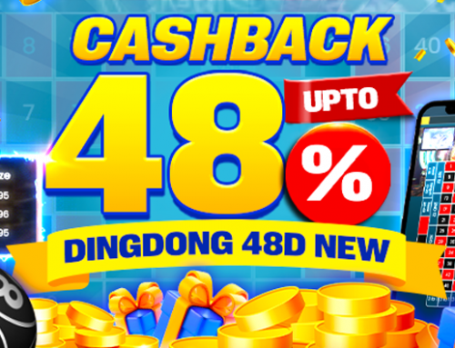 Cashback Dingdong 48D NEW