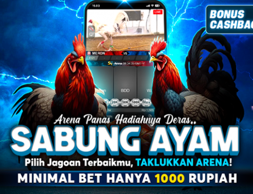 CASHBACK SABUNG AYAM 10% – SV388