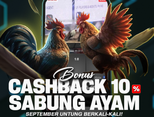 CASHBACK SABUNG AYAM 10% – SV388